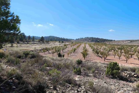 Helårsgrund i Jumilla, Murcia, Jumilla - € 29.900 | Ref: SF0544 - foto 3